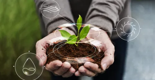 Manos sosteniendo tierra y un pequeño brote de planta.
