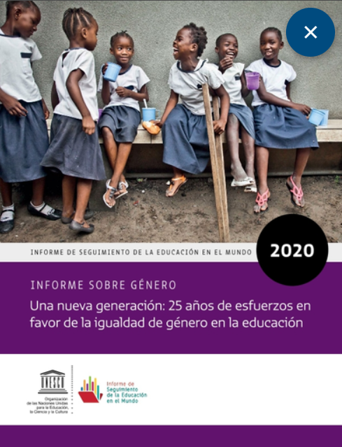 Informe De Seguimiento De La Educación En El Mundo 2020 Informe Sobre